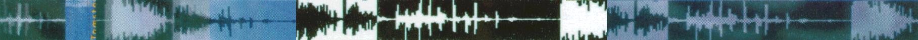 Decorative audio waveform